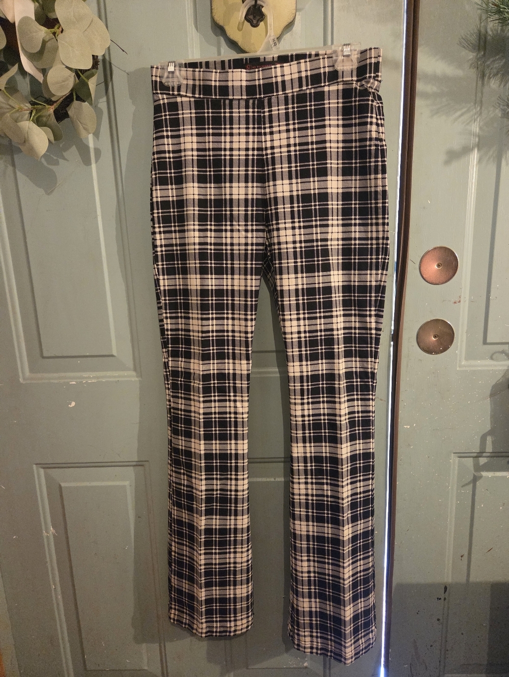 Daring Diva Woman's Pants